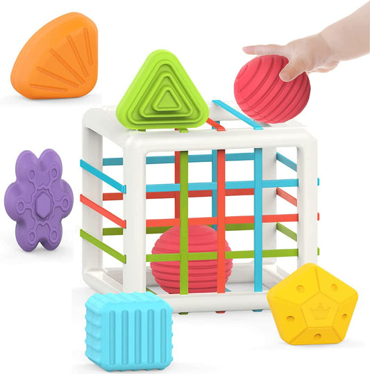 Montessori Toys for 1 Year Old Baby Sorter Toy Colorful Cube and 6 Pcs Multi Sensory Shape developmental Learning Toys