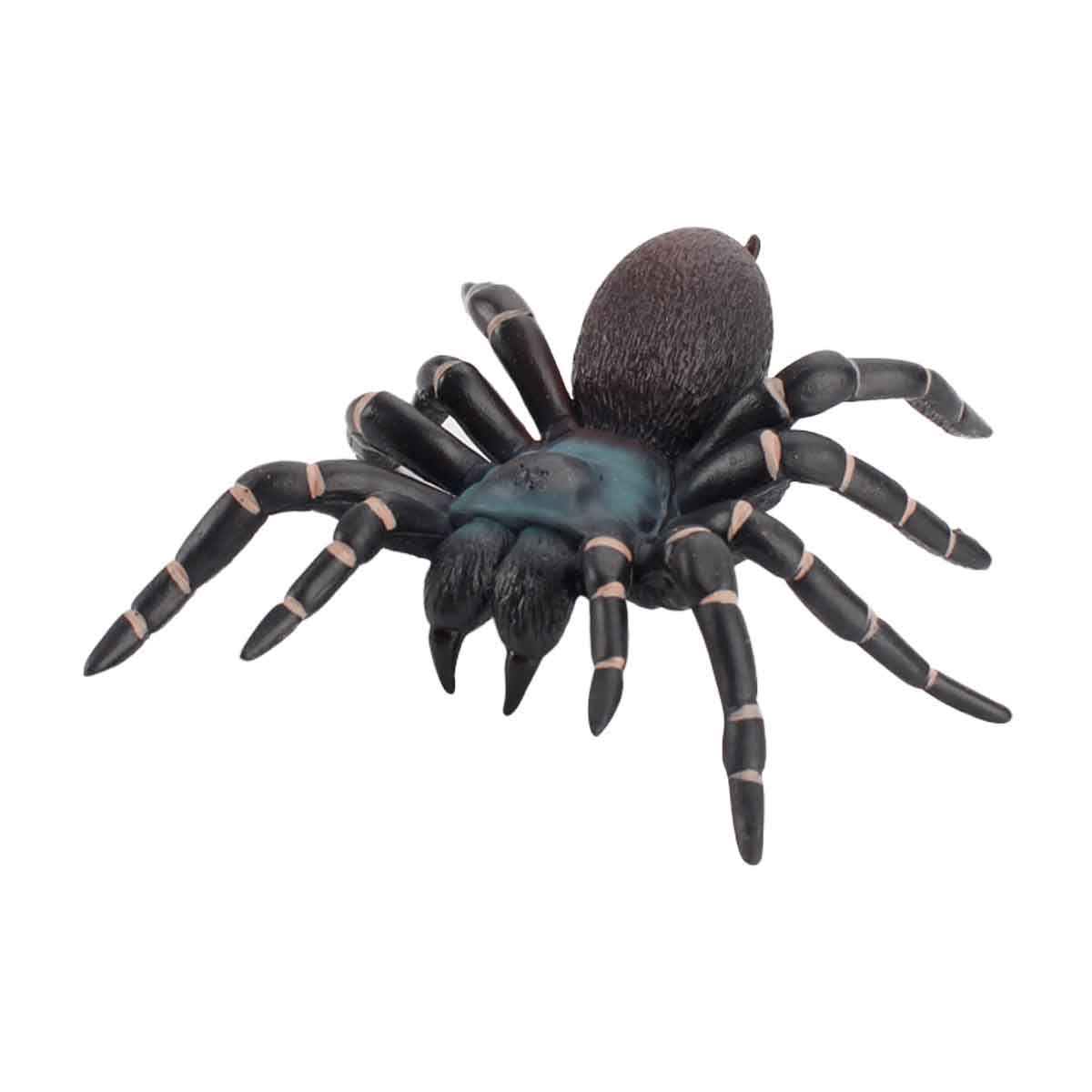 Wild insect animal spider Toyworks