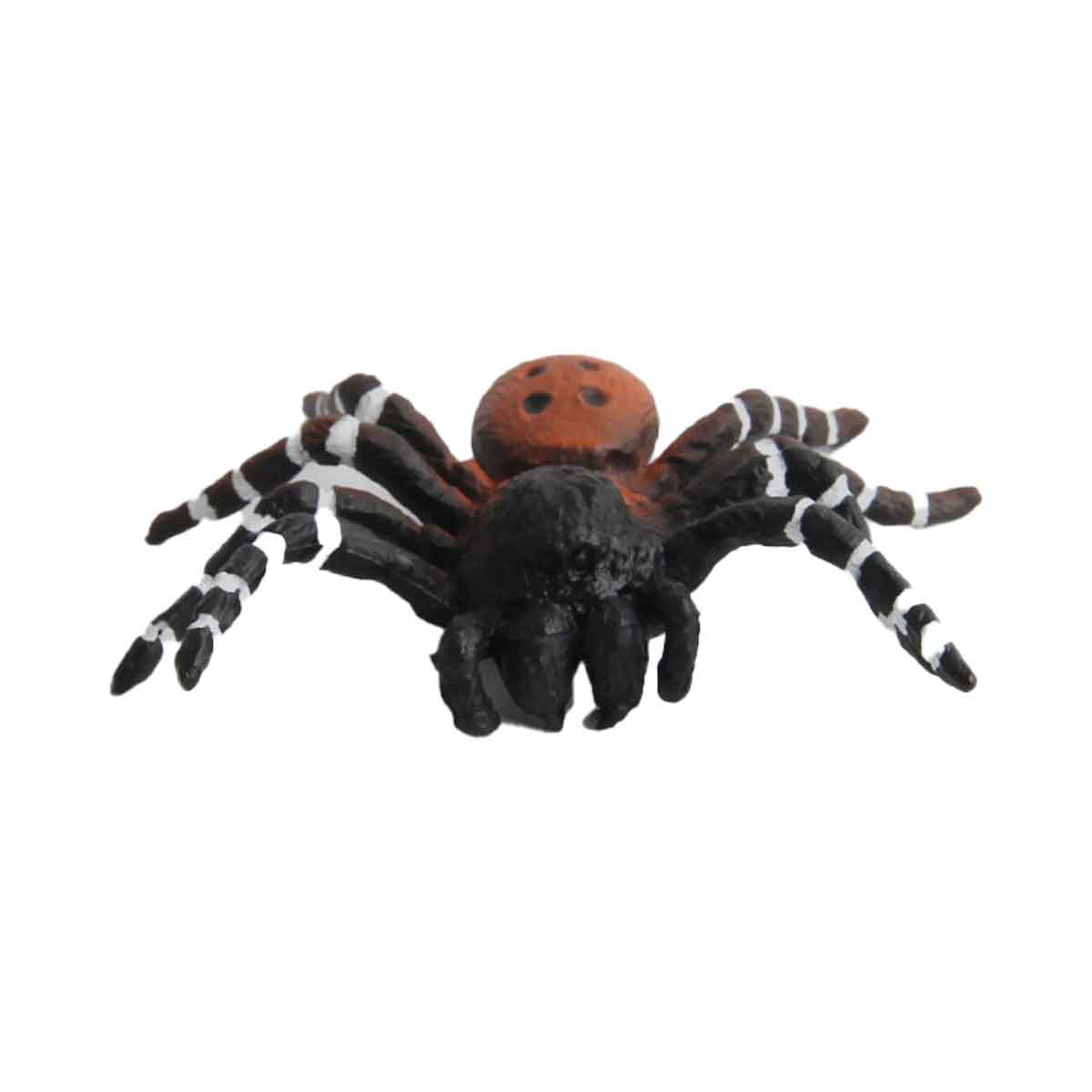 Wild insect animal spider Toyworks