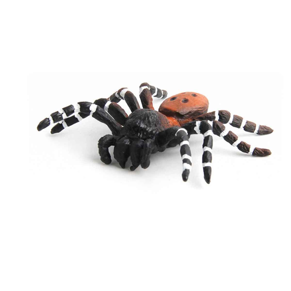 Wild insect animal spider Toyworks